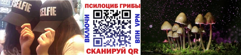 Галлюциногенные грибы Psilocybe  дарк нет официальный сайт  Красноармейск 